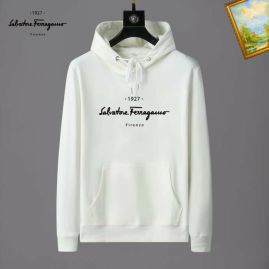 Picture of Ferragamo Hoodies _SKUFerragamoM-3XL25tn0110675